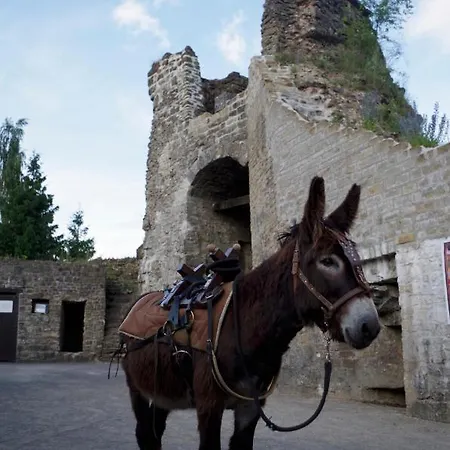 La Cab'ane Saint-Jean-aux-Bois (Ardennes)